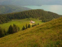 2013-07-07_Kotalm-Jochberg (249).JPG